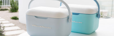 Cooler Bags & Boxes