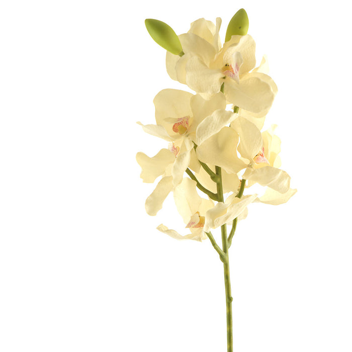 Orchid Stem White 68cm
