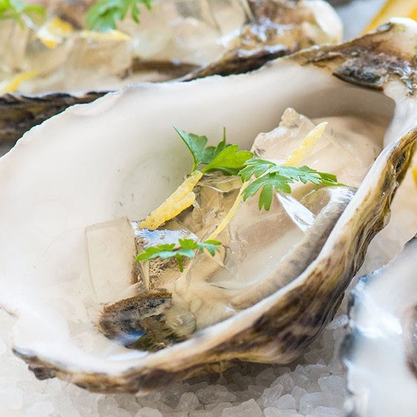 Champagne Jelly for Oysters