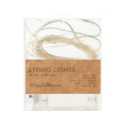Silver Sting Lights 50 Beads