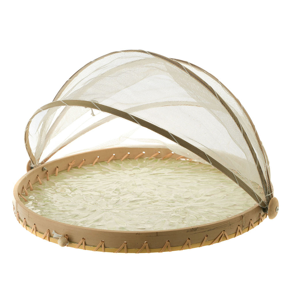 Mesh Food Cover Capiz Green Petal