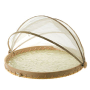 Mesh Food Cover Capiz Green Petal