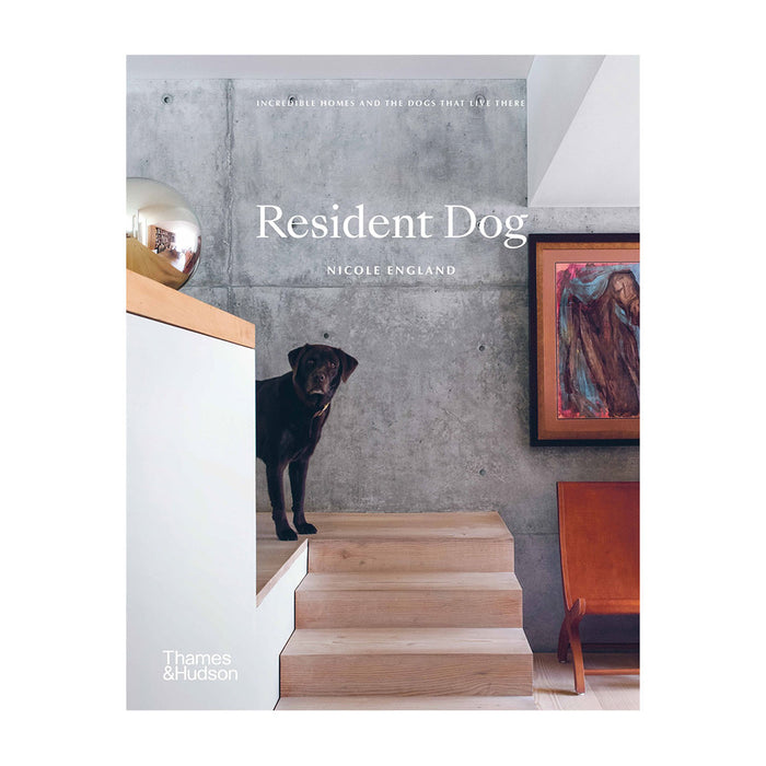 Book Resident Dog