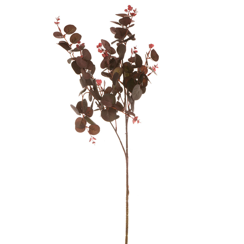 Eucalyptus Spray Purple