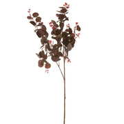 Eucalyptus Spray Purple