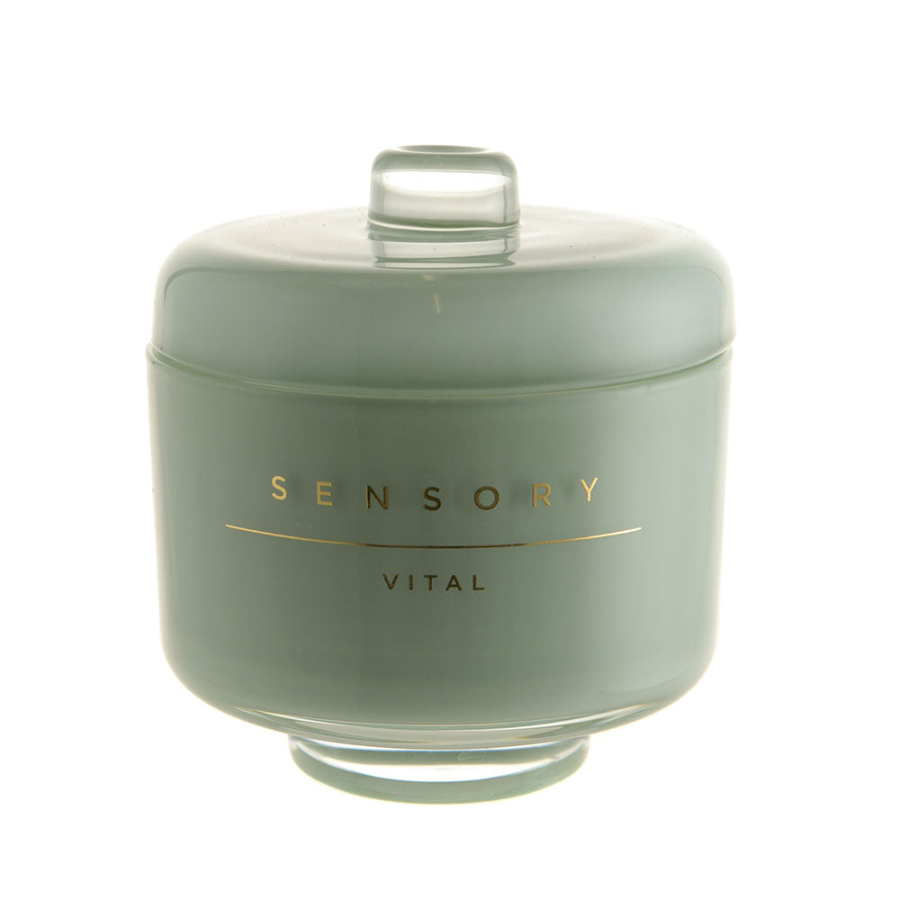 Sensory Candle Coconut & Lime