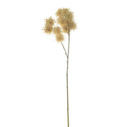 Acacia Stem Cream