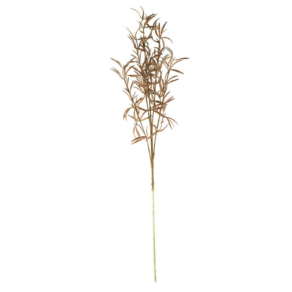 Brown Soft Grass Stem