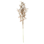 Brown Soft Grass Stem