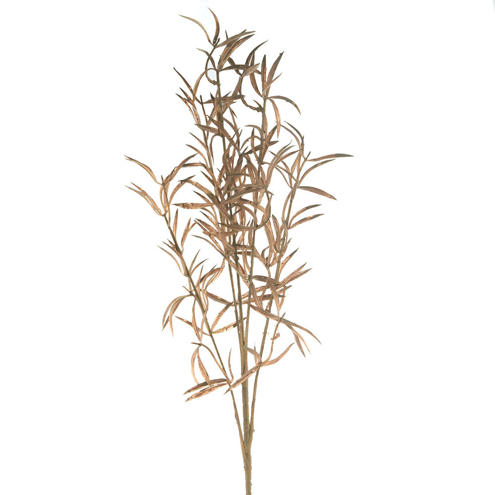 Brown Soft Grass Stem