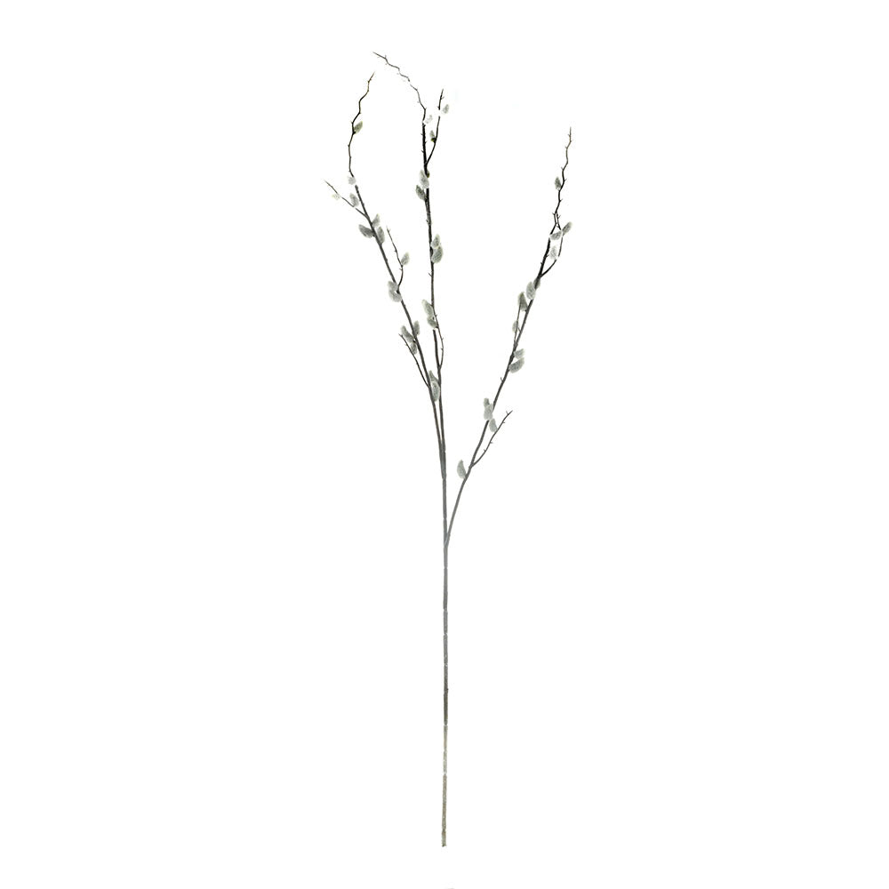 Cream Salix Argyracea Stem 89cm