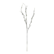 Cream Salix Argyracea Stem 89cm