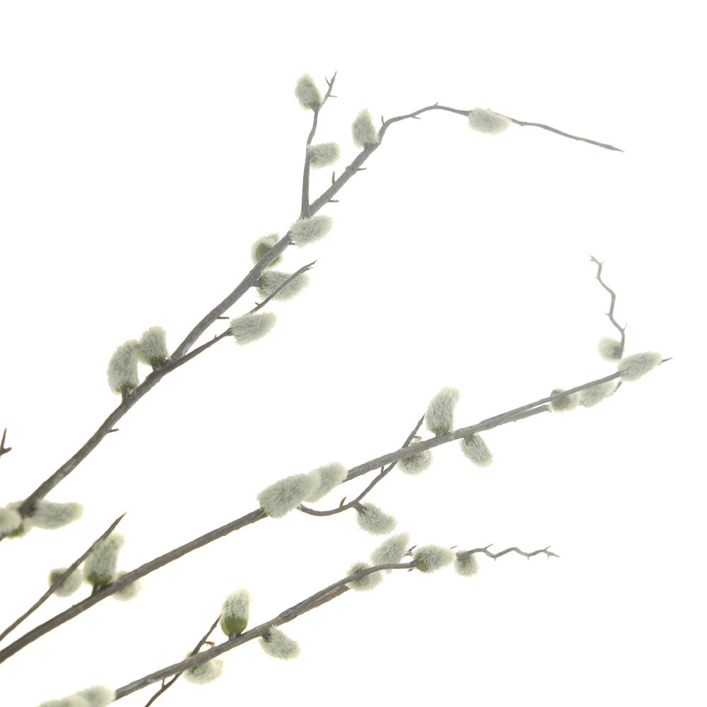 Cream Salix Argyracea Stem 89cm
