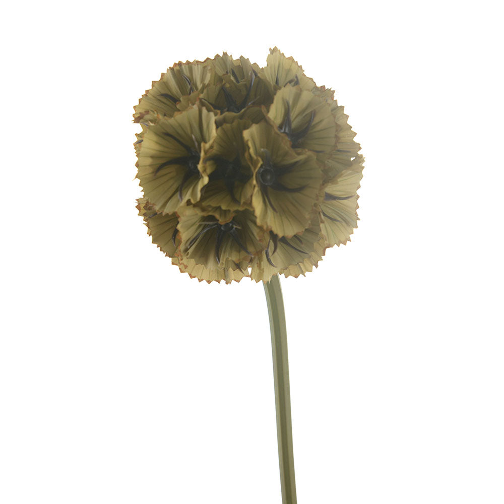Green Stellata Scabiosa Stem