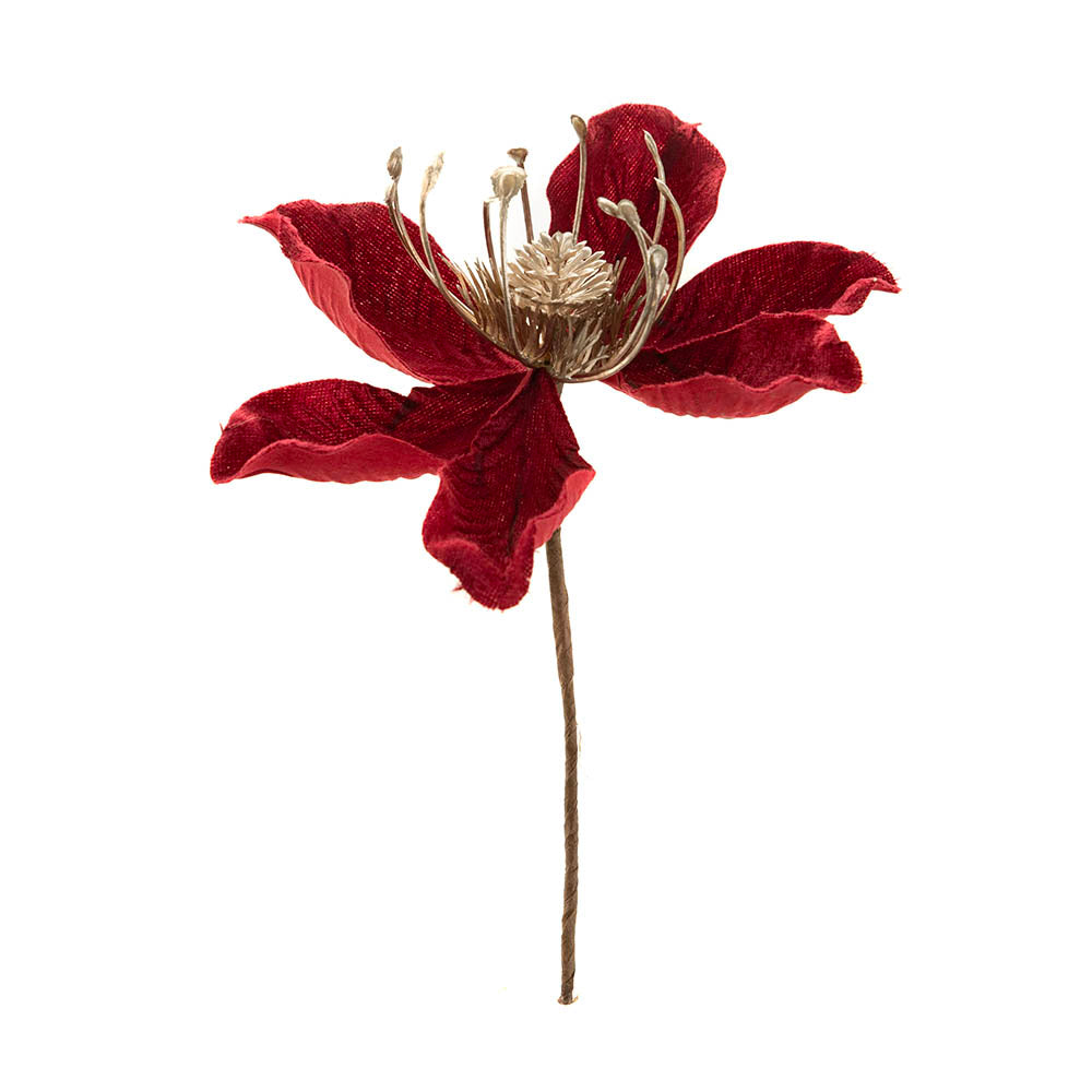 Burgundy Magnolia Flower