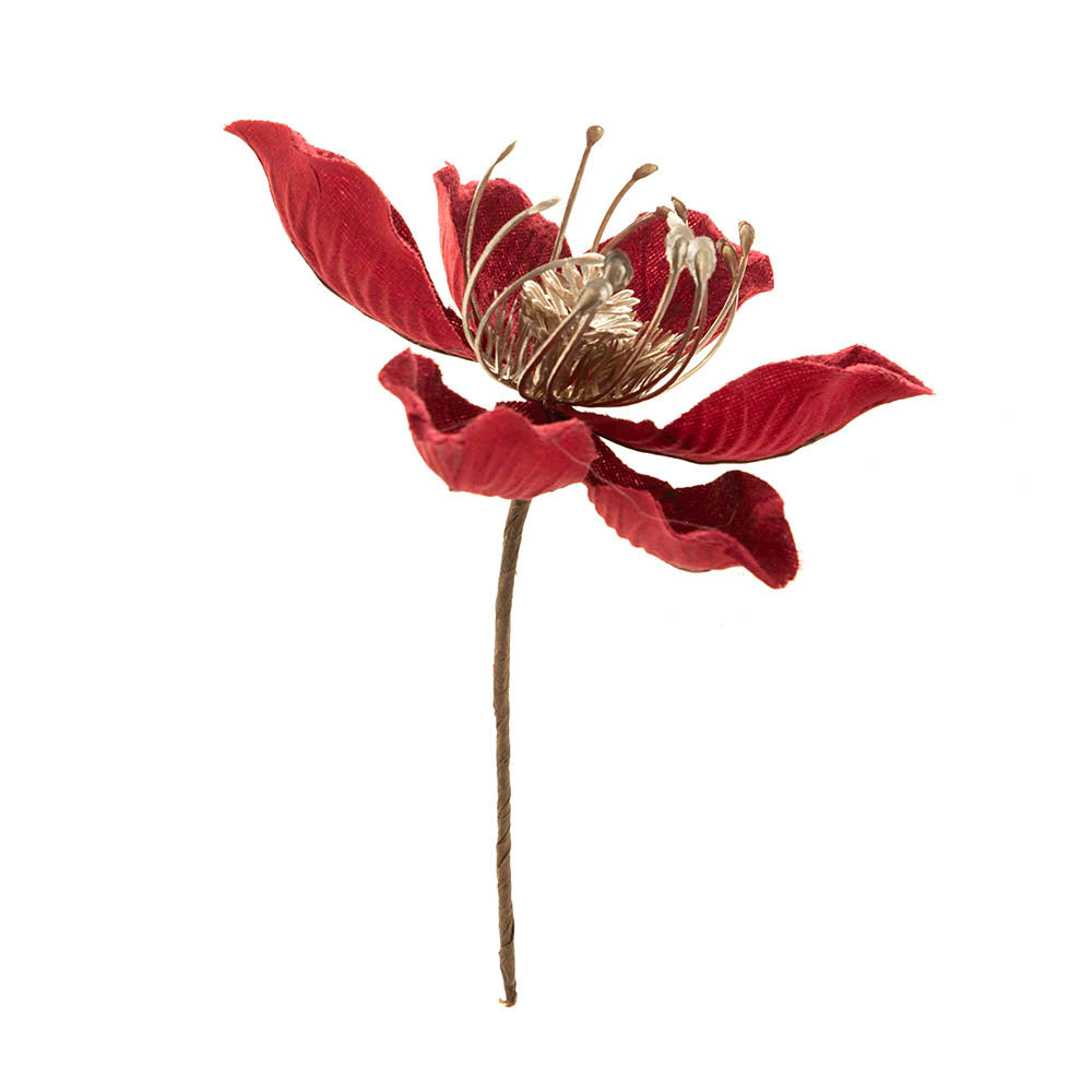Burgundy Magnolia Flower