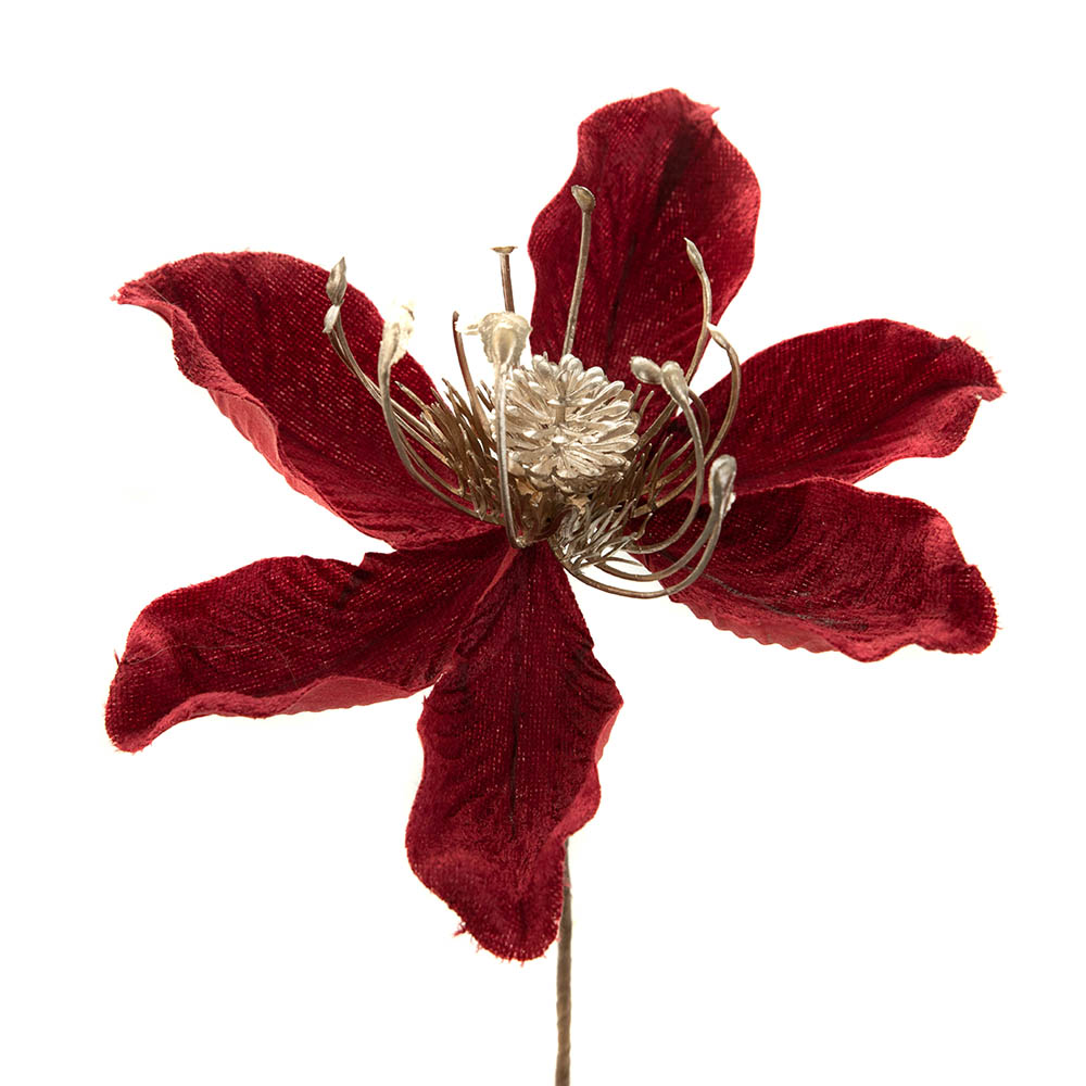 Burgundy Magnolia Flower