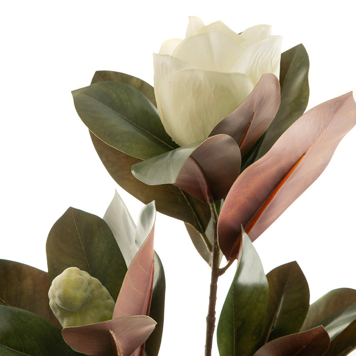 Magnolia Bud Spray