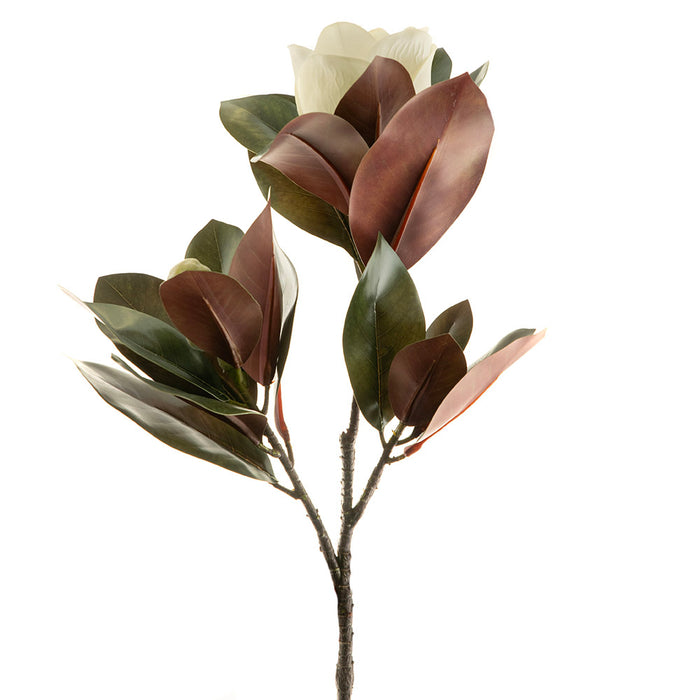 Magnolia Bud Spray