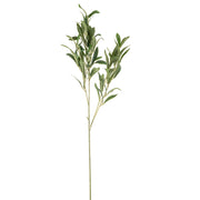 Olive Leaves Spray