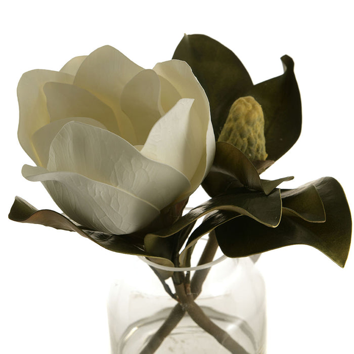 Magnolia Mixed Leaf Arrangements 30cm