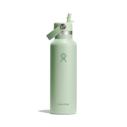 Hydro Flask Standard Mouth Aloe Bottle with Flex Straw Cap 621ml