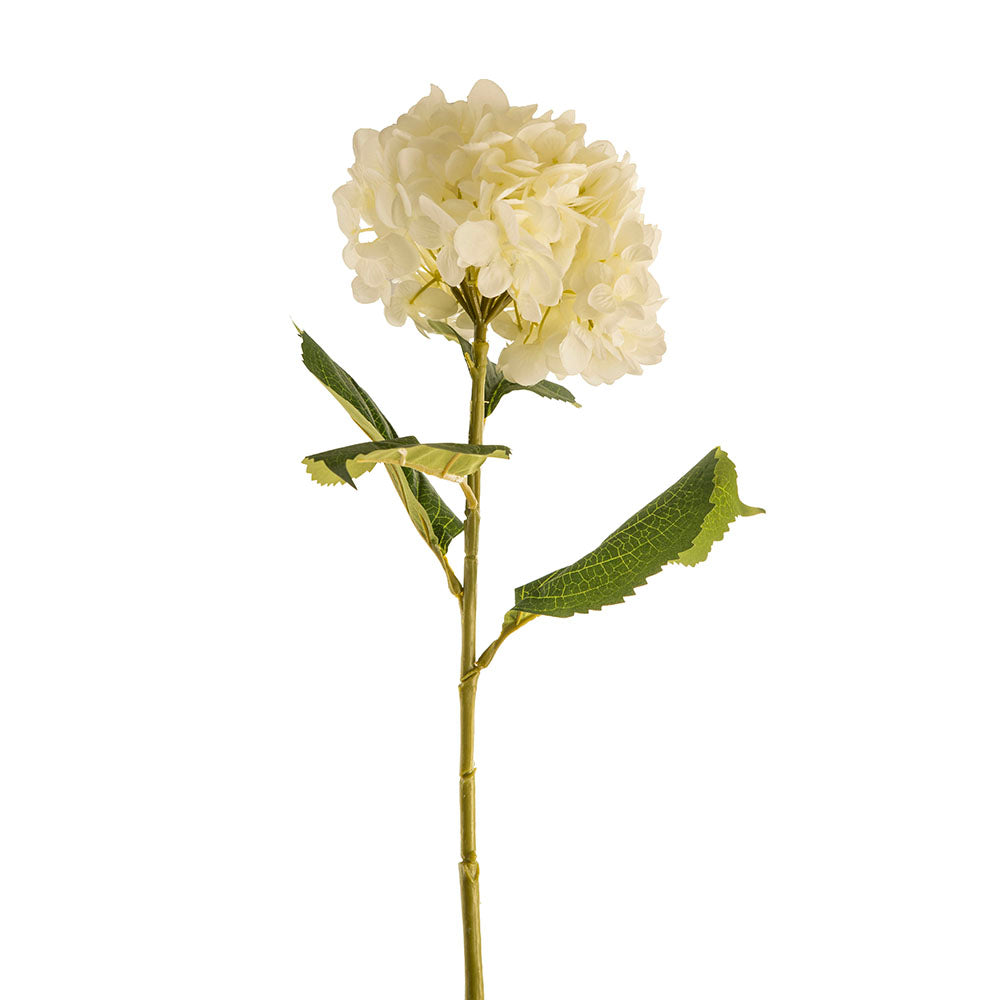 White 82cm Hydrangea Stem