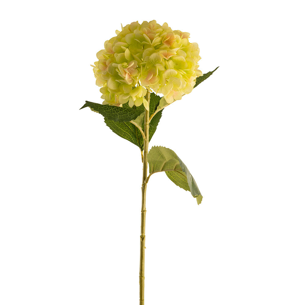 Green Hydrangea 82cm Stem