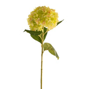 Green Hydrangea 82cm Stem