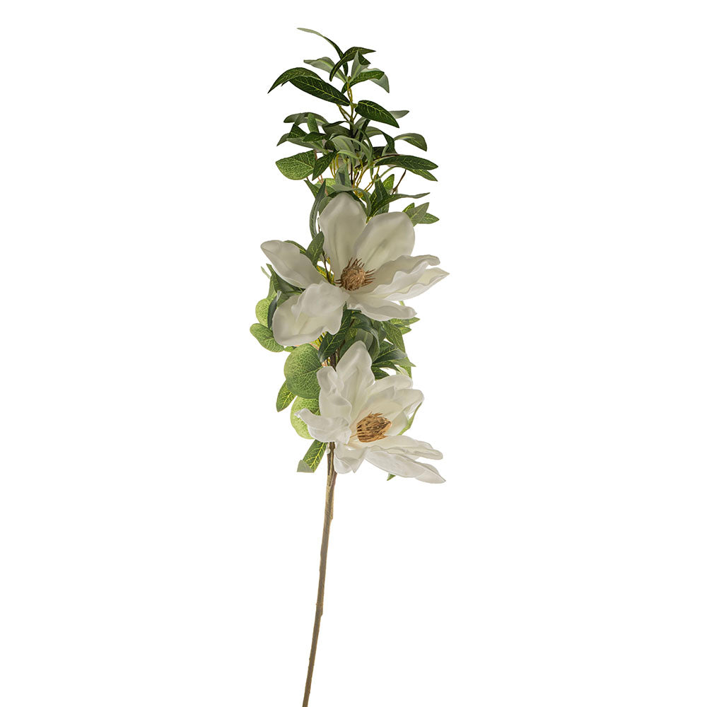 Eucalyptus with White Flowers Stem