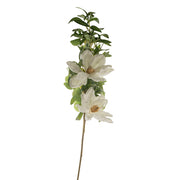 Eucalyptus with White Flowers Stem