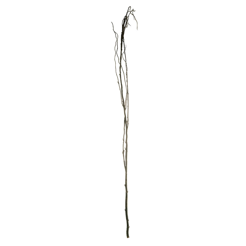 Branch 100cm Try Stem
