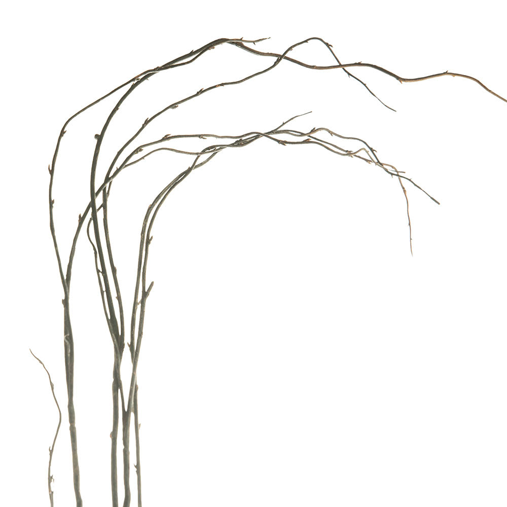 Branch 100cm Try Stem