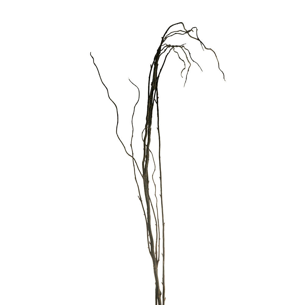 Branch 100cm Try Stem