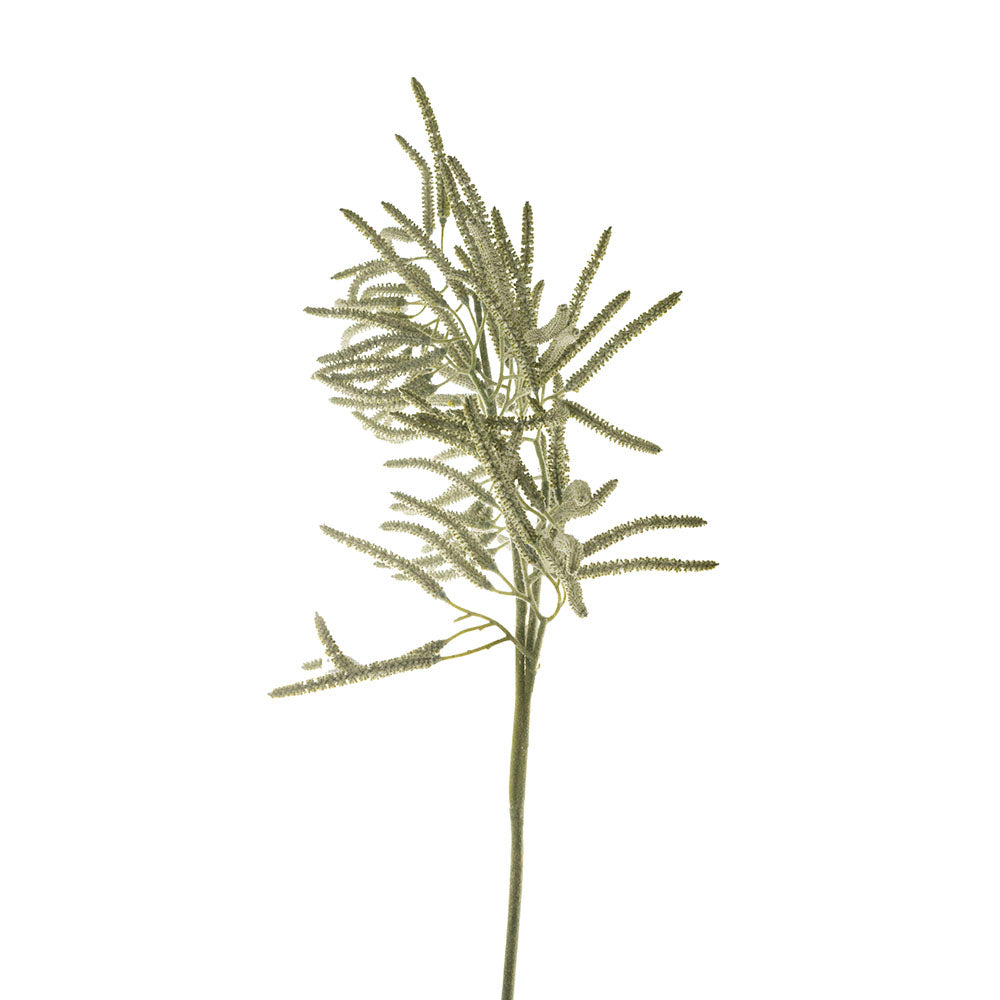 Green 71cm Catkin Stem