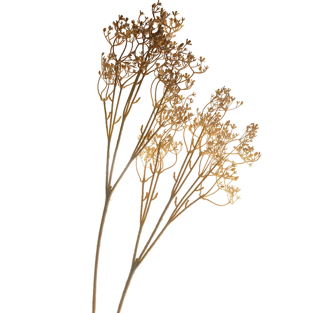 Light Brown 76cm Buddleia Stem