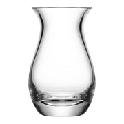 Posy 17.5cm Glass Vase