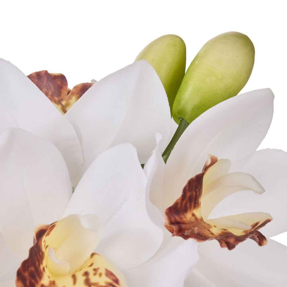 Rogue 25x18x20cm White Cymbidium Orchid in Glass Vase