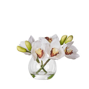 Rogue 25x18x20cm White Cymbidium Orchid in Glass Vase