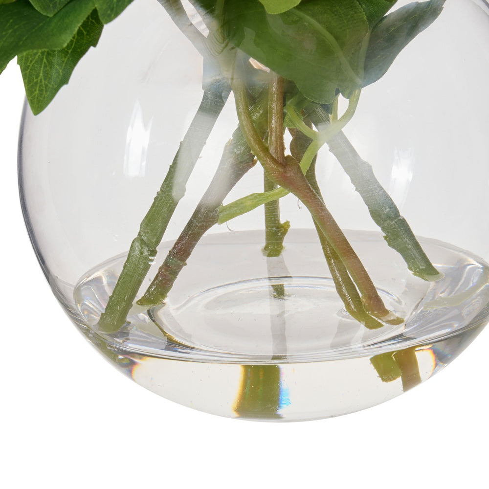 Rogue White 35x34cm Real Touch Peony in Sphere Glass Vase