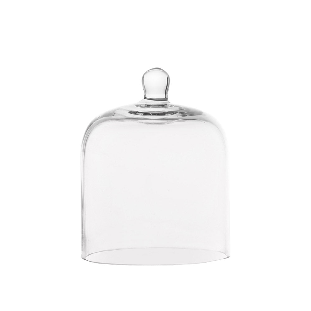 Small Glass Dome