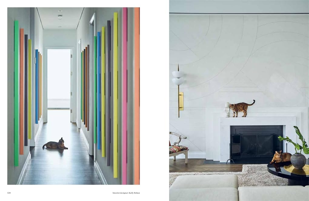 Book - House Cat