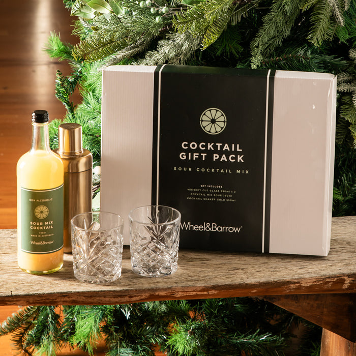 Thoughtfully Cocktails, Cocktail Therapy Gift Set (Contains NO Alcohol)
