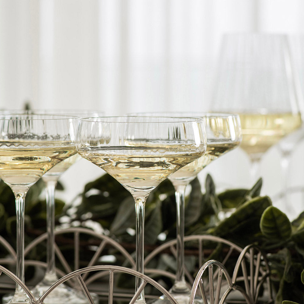 Coupe Glass Synergia