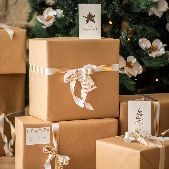 Greeting Card Merry Christmas Pack/10 9x14cm