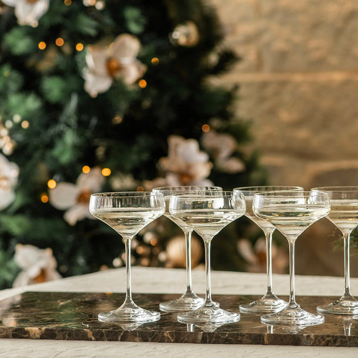 Coupe Glass Synergia