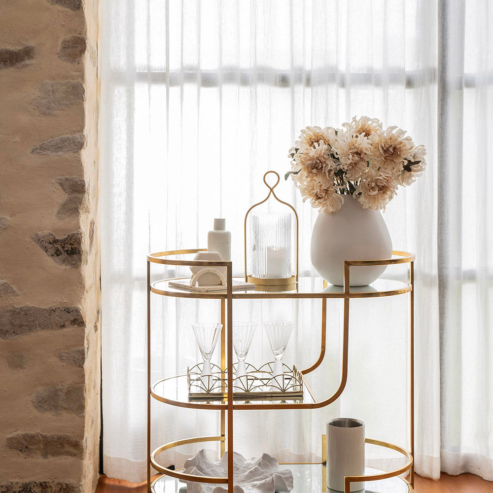 Chrysanthemum Single Cream