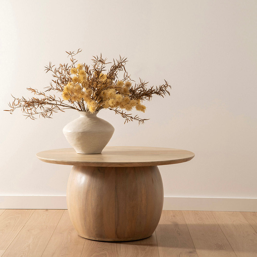 Agnes 45x90cm Mango Wood Coffee Table