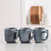 Stoneware Curve Mug Set Light Blue
