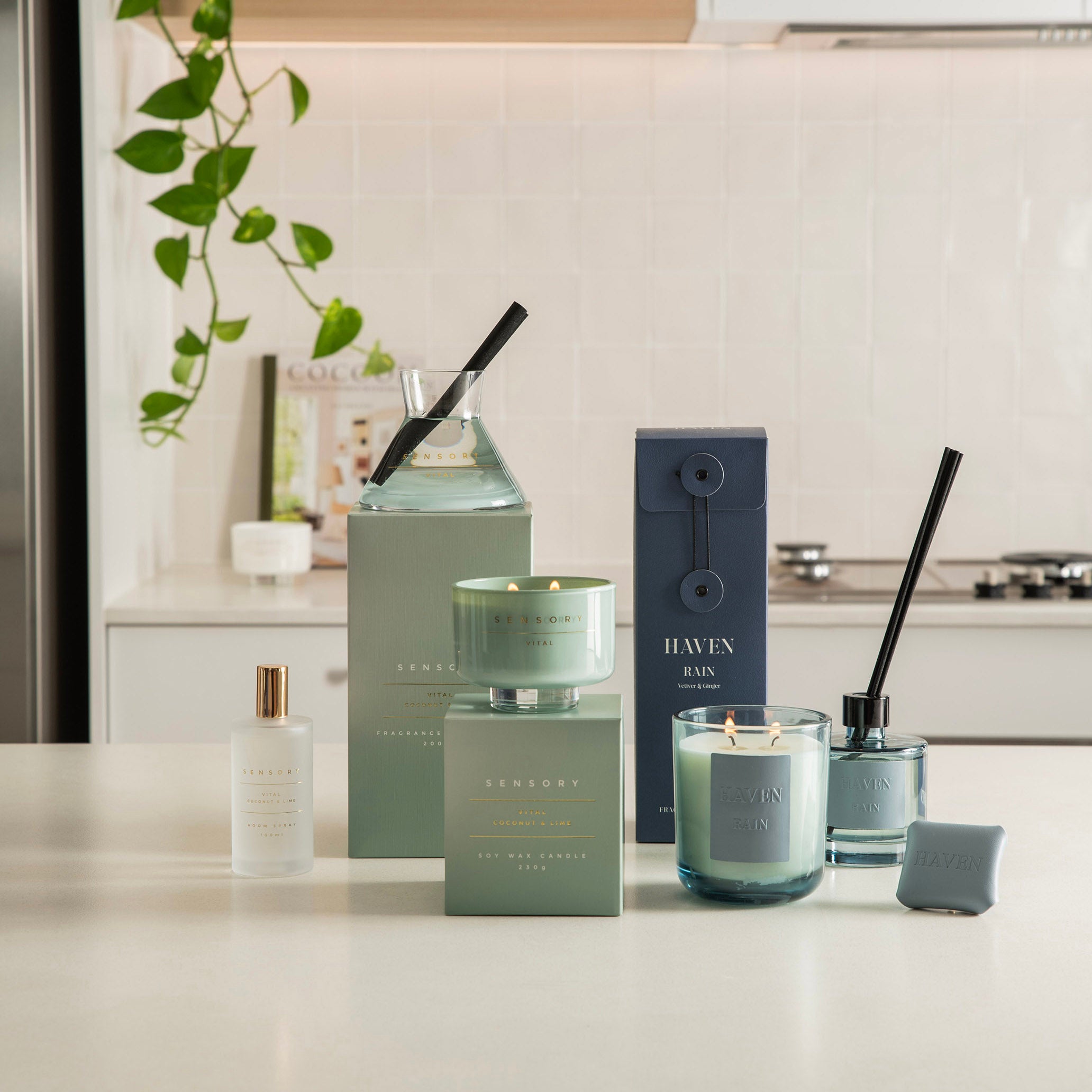 Sensory Candle Coconut & Lime